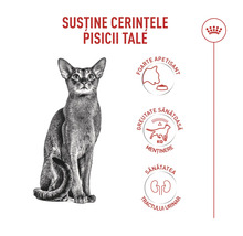 Logo Royal Canin. Výhody krmiva pre mačky: Vysoká chutnosť, udržiavanie ideálnej hmotnosti a zdravie močových ciest.