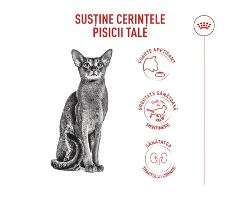 Logo Royal Canin. Výhody krmiva pre mačky: Vysoká chutnosť, udržiavanie ideálnej hmotnosti a zdravie močových ciest.