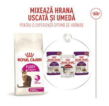 Royal Canin Logo, kombinácia granúl Fussy Exigent a mokrého krmiva Sensory a Instinctive pre mačky.
