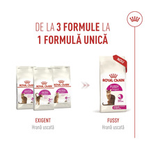 Royal Canin Logo a infografika zobrazujúca prechod z troch variantov suchého krmiva Exigent na jednu novú receptúru Fussy Exigent.