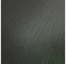 Vliesová tapeta Trend Spectrum 324794 sivá, čierna 53 x 1005 cm
