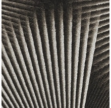 Vliesová tapeta Trend Spectrum 792523 čierna, strieborná 53 x 1005 cm