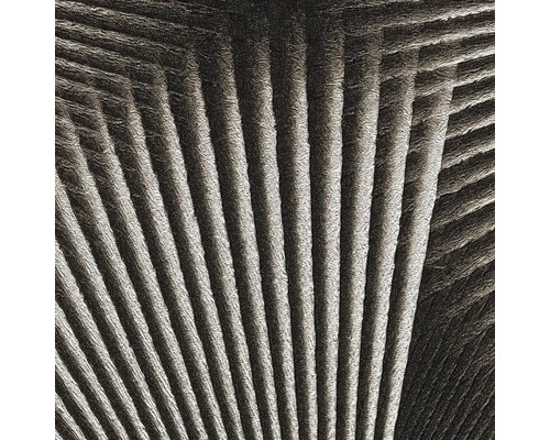 Vliesová tapeta Trend Spectrum 792523 čierna, strieborná 53 x 1005 cm