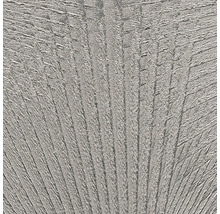 Vliesová tapeta Trend Spectrum 792527 sivá, strieborná 53 x 1005 cm
