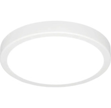 Okrúhle LED stropné svietidlo v bielej farbe s plastovým krytom.