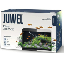 Akváriový set Juwel Primo 70 LED s objemom približne 70 litrov, rozmery 61 na 31 na 43,5 centimetra.
