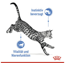 Skákajúca mačka s informáciami o inštinktívnej preferencii, vitalite a funkcii obličiek a logo Royal Canin.