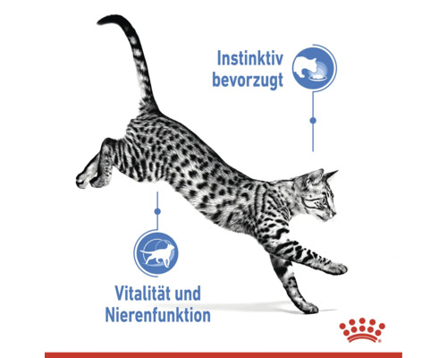 Skákajúca mačka s informáciami o inštinktívnej preferencii, vitalite a funkcii obličiek a logo Royal Canin.