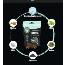 Pochúťka pre psov Kiwi Walker Dental s kolagénom, mätou, kyselinou hyalurónovou a ďalšími prírodnými ingredienciami v balení.