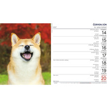 Nástenný kalendár 2027 s fotografiou smejúceho sa psa Shiba Inu na týždeň od 14. do 20. júna.
