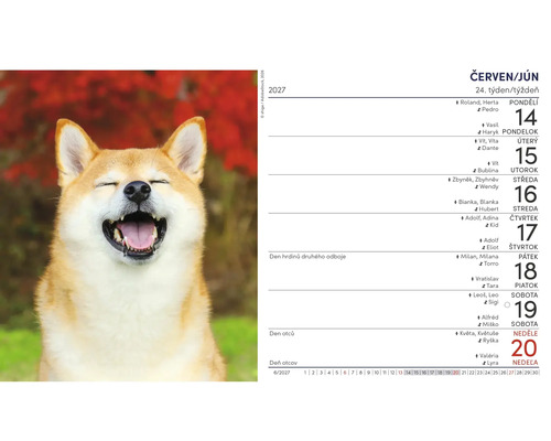 Nástenný kalendár 2027 s fotografiou smejúceho sa psa Shiba Inu na týždeň od 14. do 20. júna.