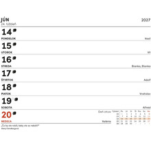 Týždenný kalendárový list na jún 2027 s dňami 14 až 20 a prehľadom mesiaca.