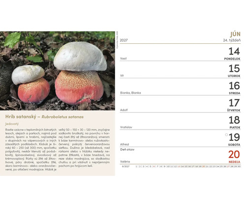 Kalendárový list na jún 2027 s obrázkom hríbu satanského Rubroboletus satanas a informáciami o tejto hube.