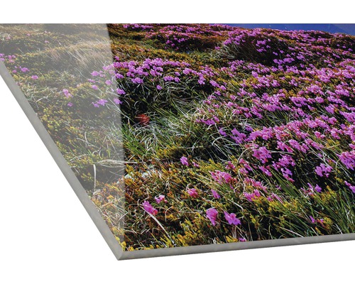 Akrylová sklenená fotografia s lúkou plnou kvetov