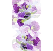 Detail fialových kvetov orchideí
