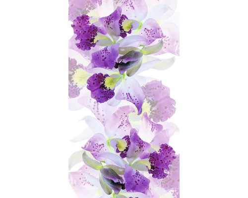 Detail fialových kvetov orchideí