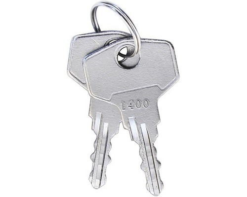 Dva kľúče s krúžkom na kľúče