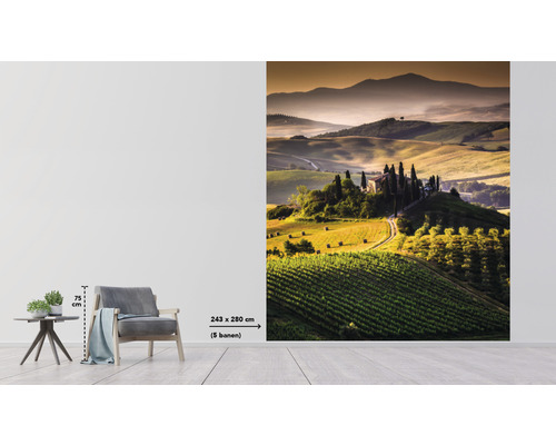 Fototapeta s toskánskou krajinou a statkom, rozmer 243x280 cm