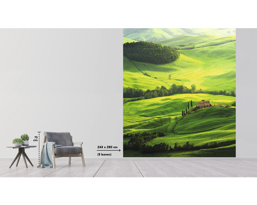 Foto tapeta s motívom krajiny zelenej kopcovitej krajiny s domami, formát 243 x 280 centimetrov