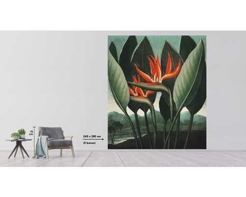 Fototapeta s motívom kvetov rajského vtáka vo svetlej miestnosti