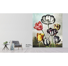 Fototapeta s motívom tulipánov v obývacej izbe, rozmery 243 x 280 centimetrov