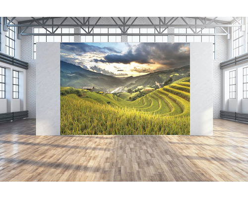 Fotoobraz Sawah 350x250 cm