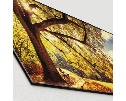 Dekoratívna nástenná doska s krajinou stromov a lavičkou