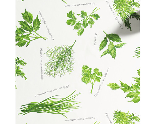Ilustrácia rôznych bylín, ako je koriander, kôpor, petržlen a pažítka
