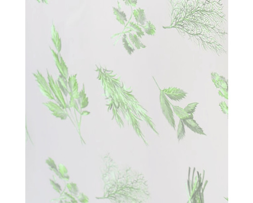 Ilustrácia rôznych bylín