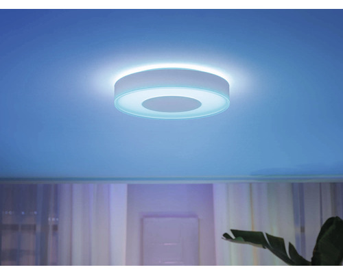 Kruhové stropné svietidlo v obývacej izbe s rastlinami