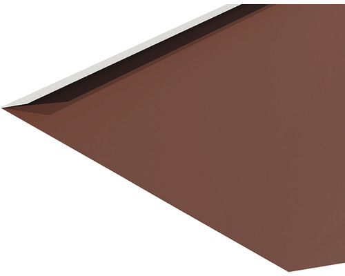 Detail hnedého odkvapu