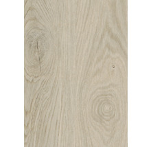 Detail svetlého dreveného povrchu s kresbou dreva