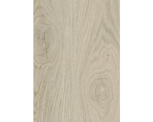 Detail svetlého dreveného povrchu s kresbou dreva