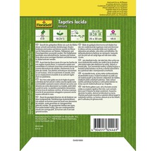 Informácie o rastline FloraSelf Tagetes lucida Anisata na obale