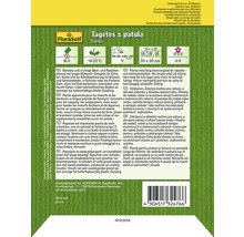 Balenie semien Tagetes patula Fiesta od FloraSelf