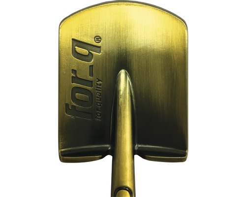 for_q Logo