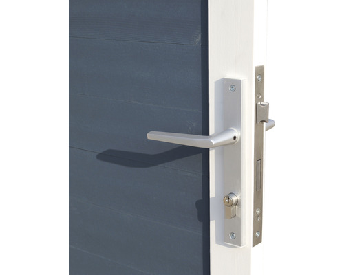 Detail dverí so striebornou kľučkou a zámkom