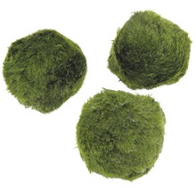 Tri zelené machové gule do akvária