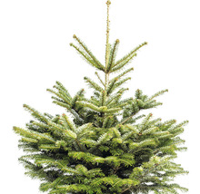 Horná časť zeleného vianočného stromčeka