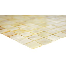 Mušľová mozaika SM 2525 biela 30 x 30 cm