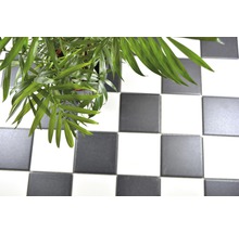 Keramická mozaika RAT 148 čierna/biela 30 x 30 cm-thumb-11