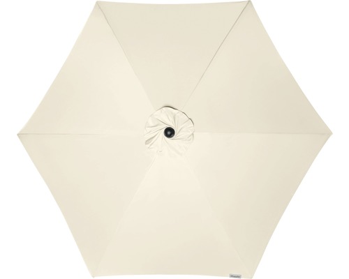 Pohľad zhora na krémový slnečník