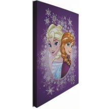 Plátno s postavami Anna a Elsa z Ľadového kráľovstva, obklopené snehovými vločkami