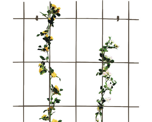 Kovová mreža na popínavé rastliny so žltými a bielymi popínavými ružami