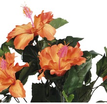 Umelý ibištek s listami