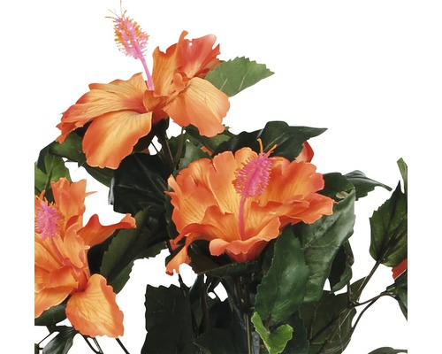 Umelý ibištek s listami