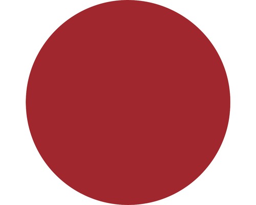 Kruhový symbol