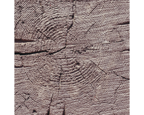 Drevený blok s letokruhmi a prasklinami