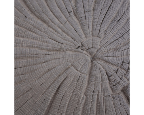 Detailný záber drevenej guľatiny s letokruhmi