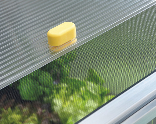 Detailný pohľad na okno skleníka so sieťou proti hmyzu a otváračom okien